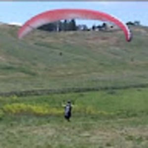 Meet your Posher, Annie